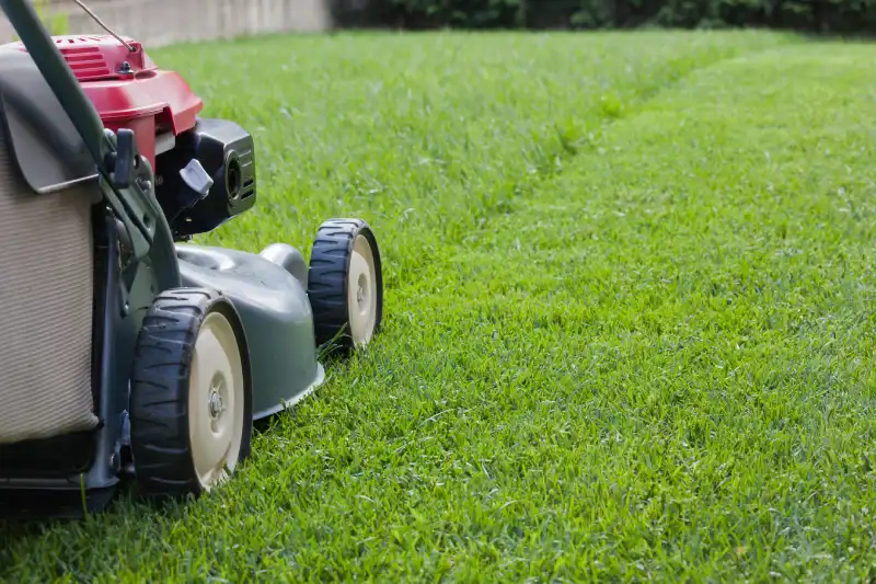 Can you mow wet grass in El Cajon, CA 