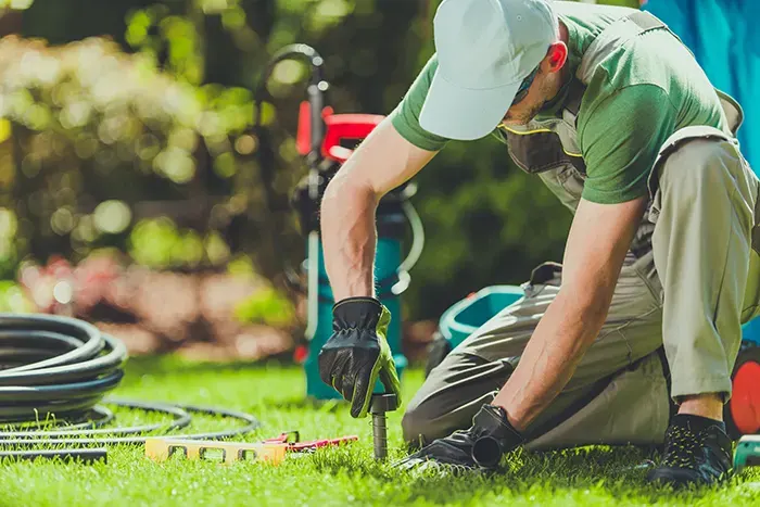 Front Yard Landscaping