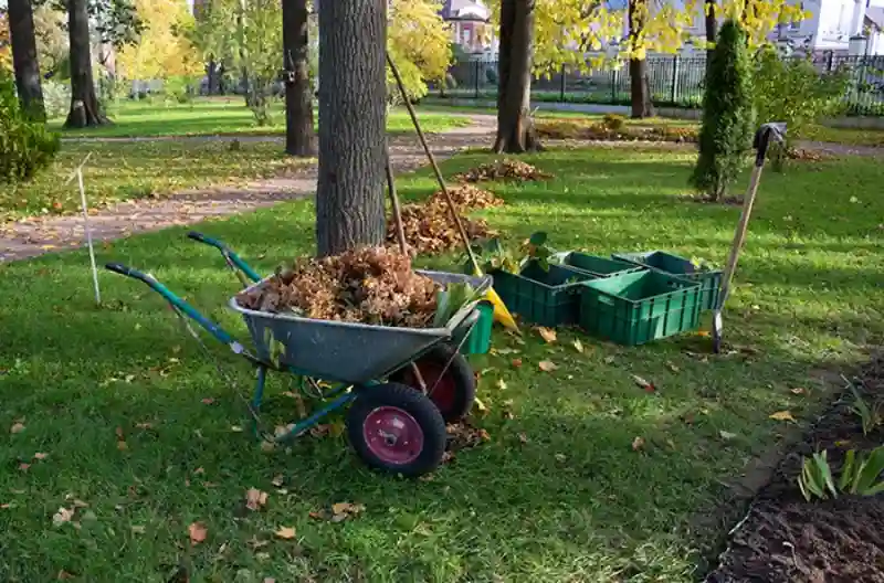 How To Clean A Backyard in El Cajon, CA 