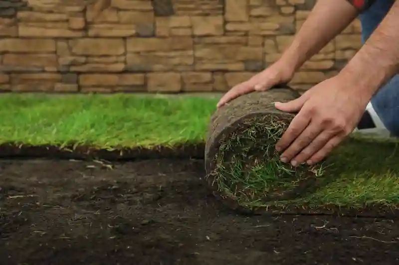 How long after installing sod can you walk on it in El Cajon, CA 