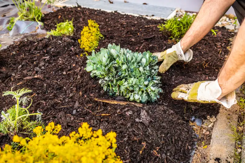 How long does mulch last in El Cajon, CA 