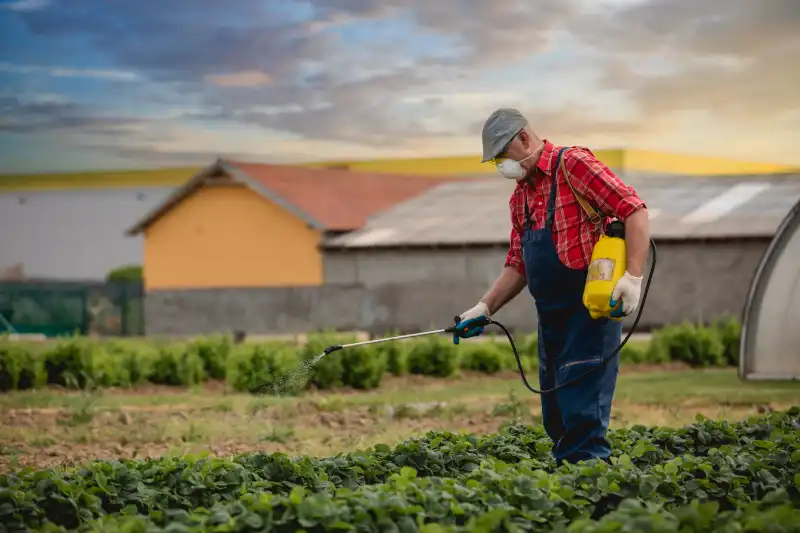 How often should you fertilize your lawn in El Cajon, CA 