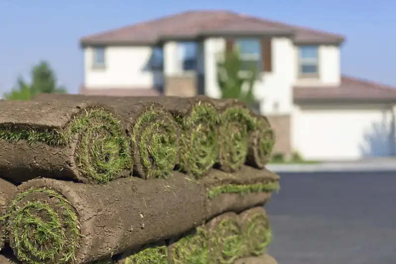 How to lay sod over existing lawn in El Cajon, CA 