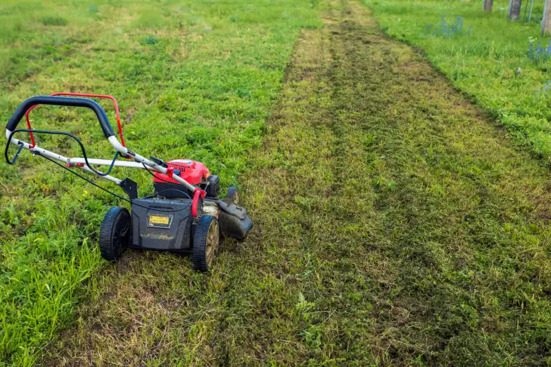 How to mow a lawn in El Cajon, CA 