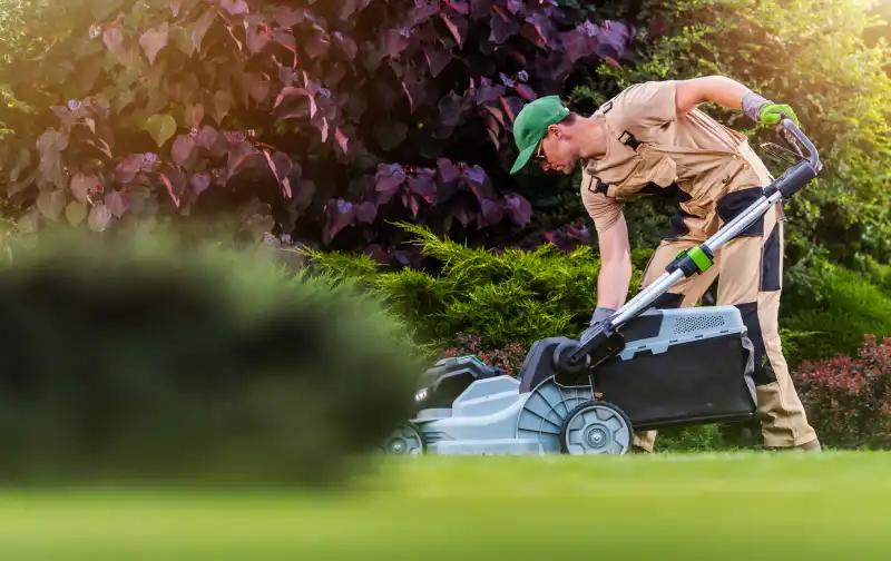 How to mow a lawn in El Cajon, CA 