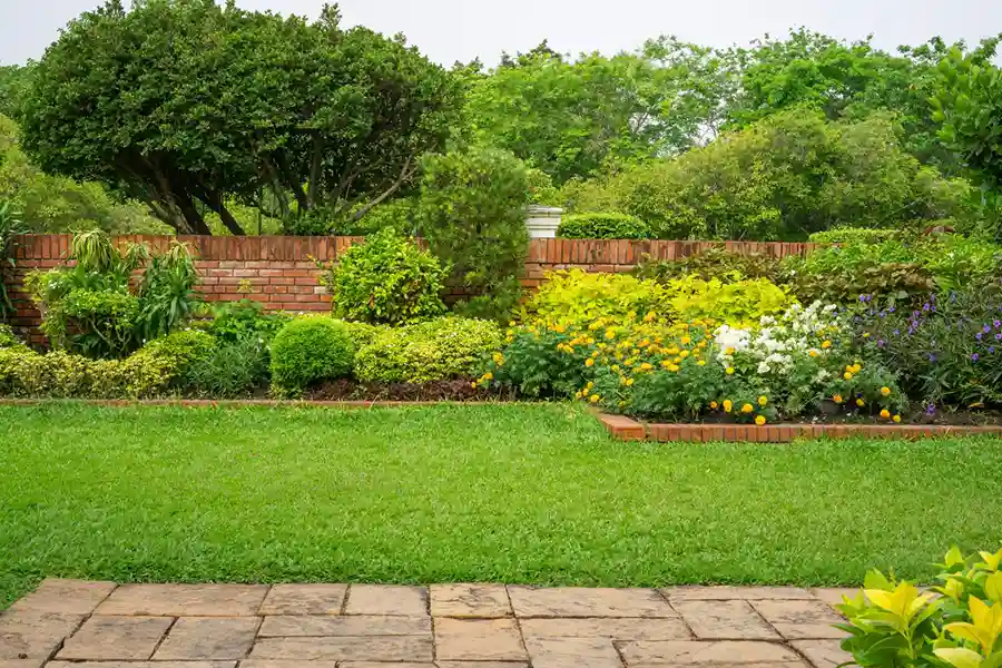 Reliable Landscaping Company in El Cajon, CA