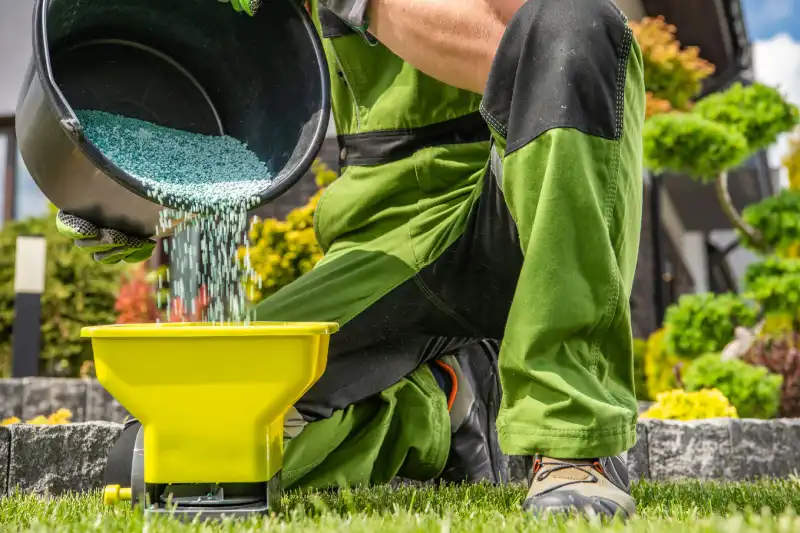 Professional Lawn Fertilization Service in El Cajon, CA 