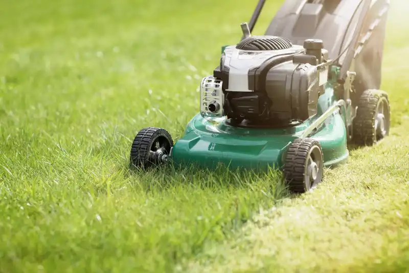 Professional Lawn Mowing Services in El Cajon, CA 