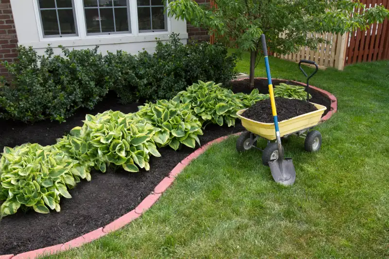 Best Mulching in El Cajon, CA 