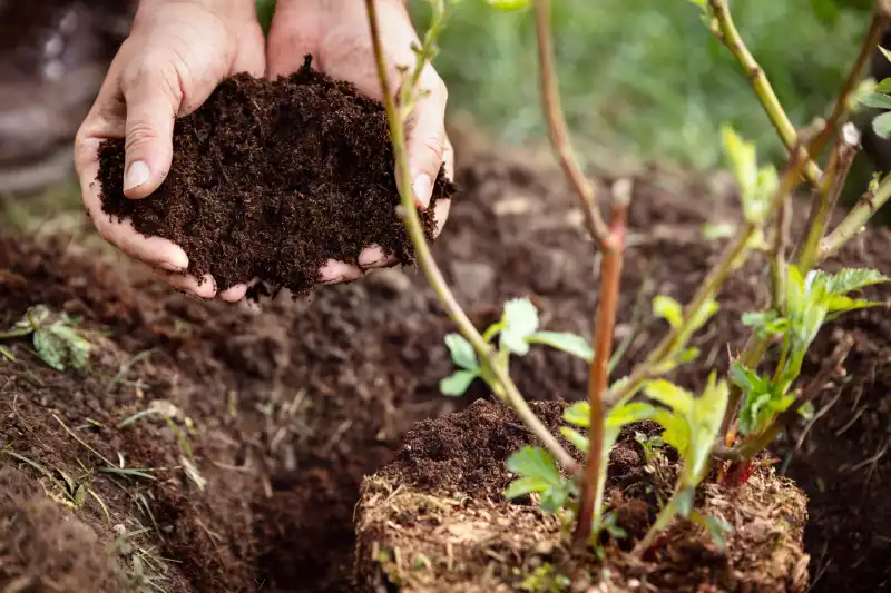 Reliable Mulching in El Cajon, CA 