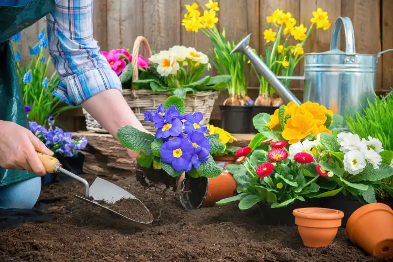 Efficient Mulching in El Cajon, CA 