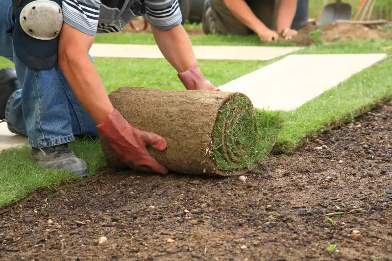 Professional Sod Installation Service in El Cajon, CA 