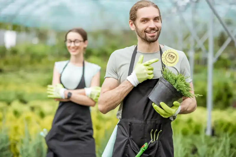 When is the best time to fertilize your lawn in El Cajon, CA 