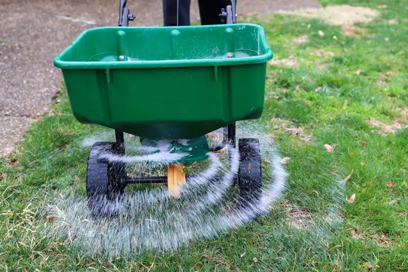 When is the best time to fertilize your lawn in El Cajon, CA 