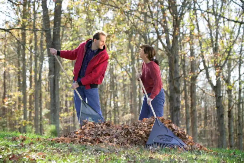 Best Yard cleanup Service in El Cajon, CA 