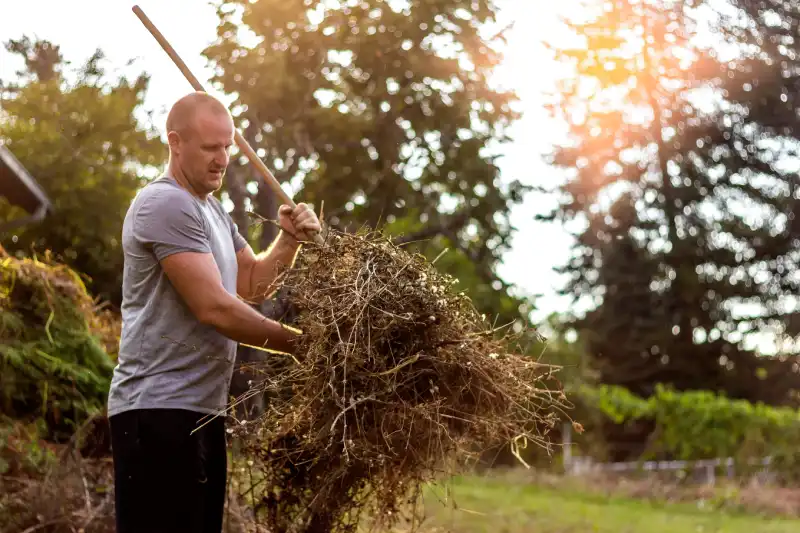 Professional Yard cleanup Service in El Cajon, CA 