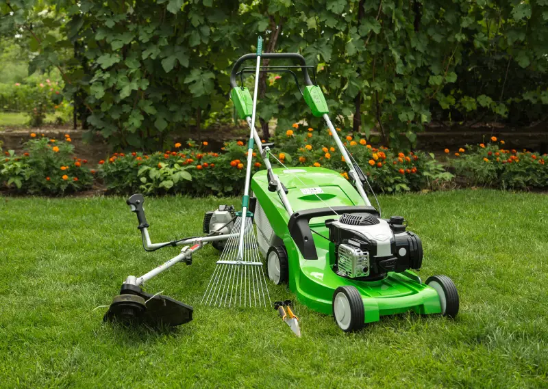 Reliable landscaping company in Santee, California