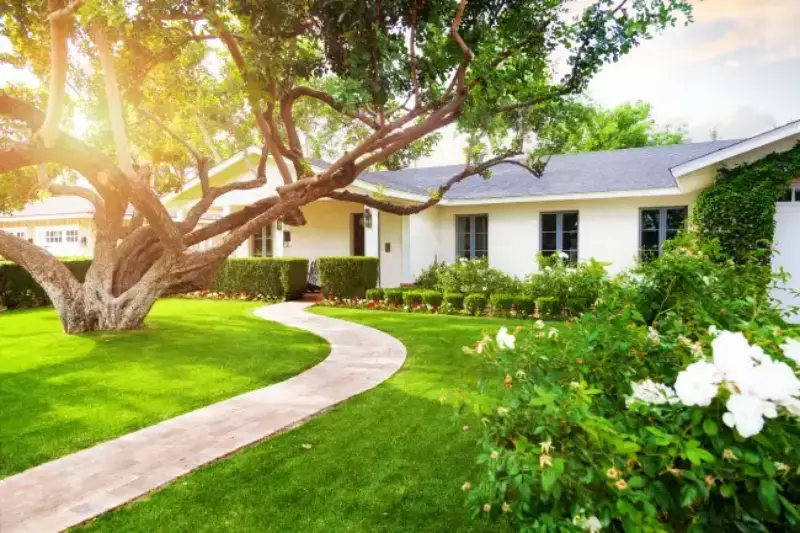 Professional landscaping company in Santee, California